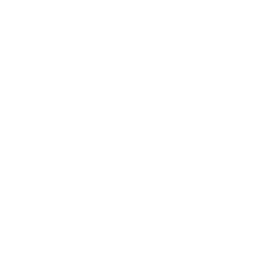 Catching Dreams